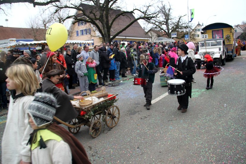 Sarmenstorf Fasnachtsumzug 16.02.2014 (78)